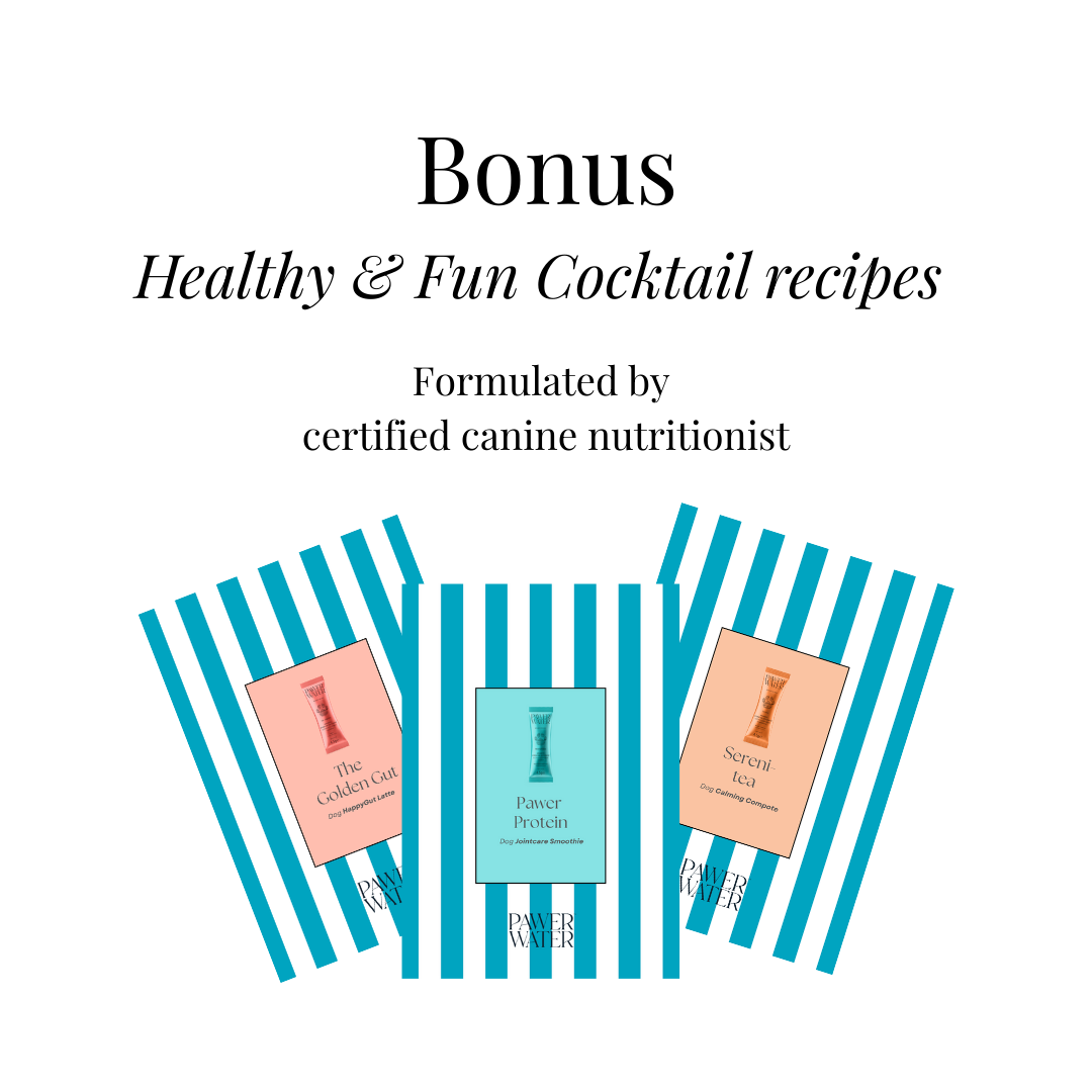 The Cocktail Party Kit For Dogs