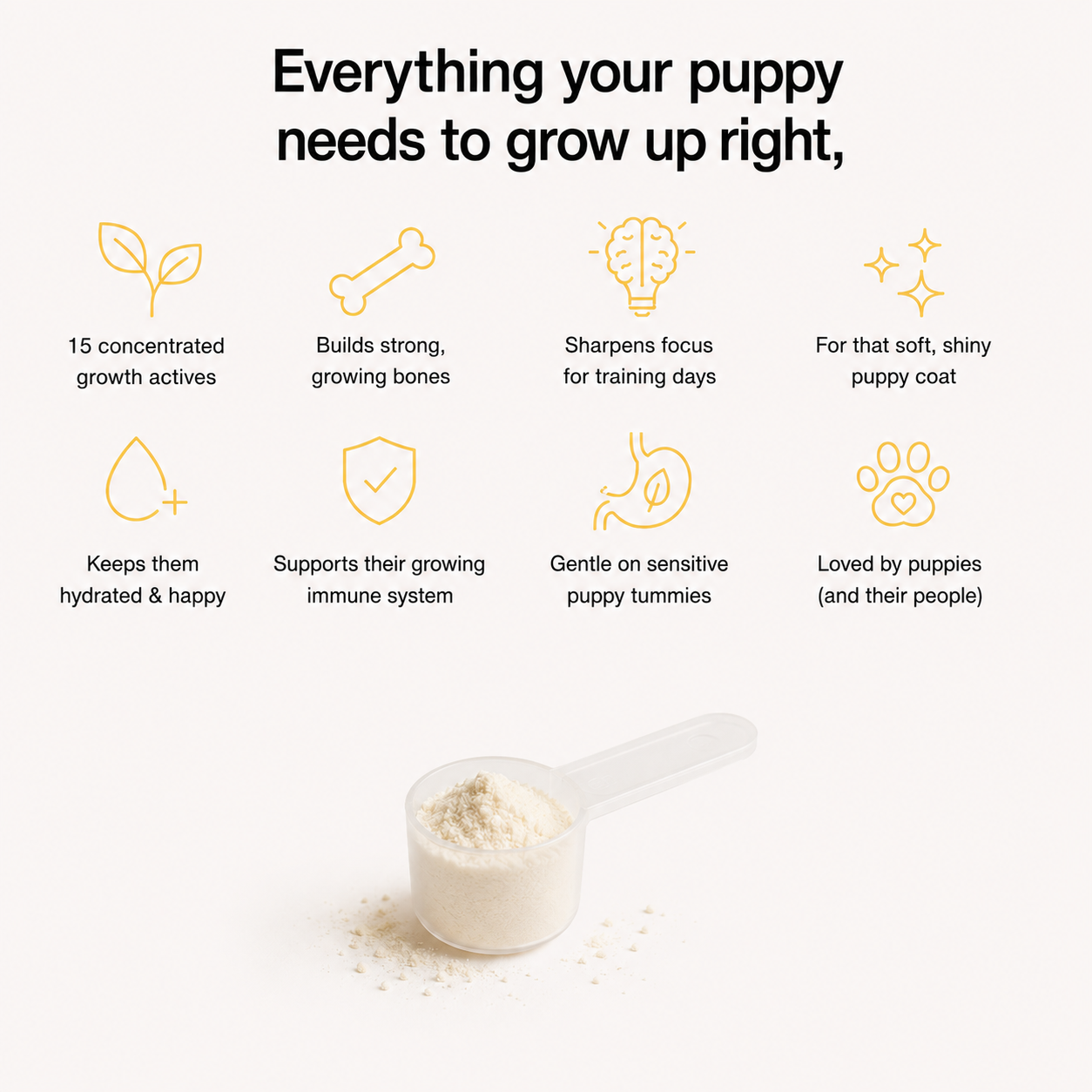 Puppy Advanced Milk Formula