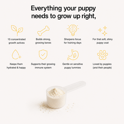Puppy Advanced Milk Formula