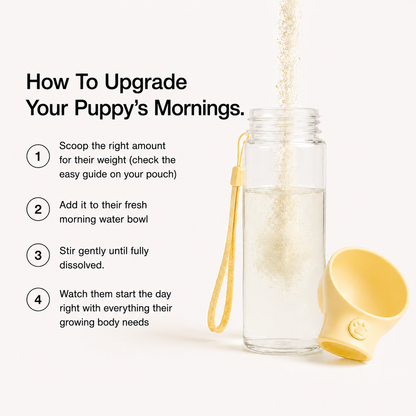 Puppy Advanced Milk Formula