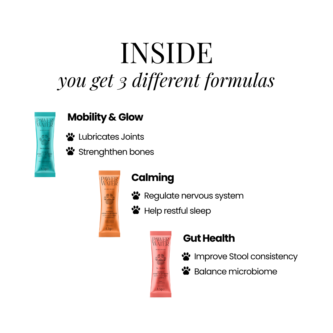 The Wellness Collection (7 Sticks Pouch) Pawer Water The Wellness Collection (7 Sticks Pouch) Pawer Water