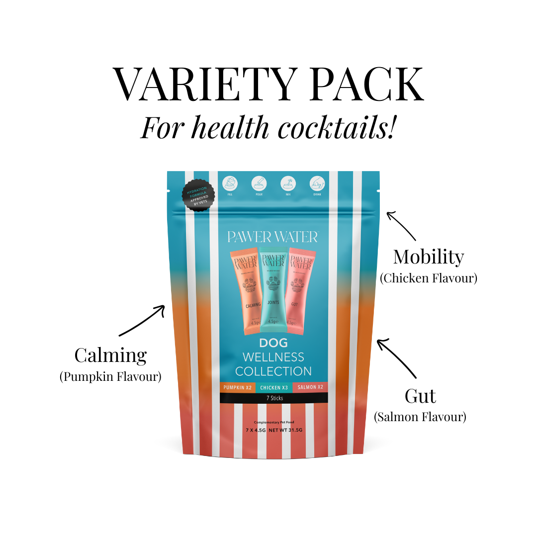 The Pawliday Party Kit For Dogs