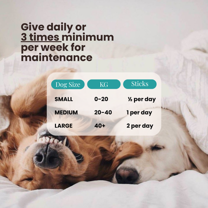 The Wellness Collection (7 Sticks Pouch)