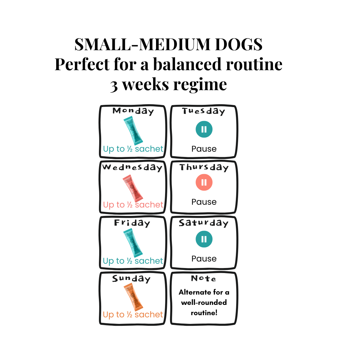 The Wellness Collection (7 Sticks Pouch)