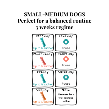 The Wellness Collection (7 Sticks Pouch)