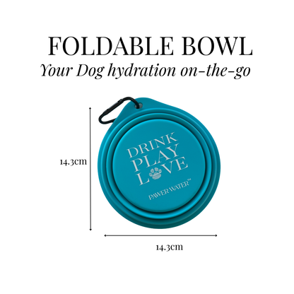 The Paw Treat Maker Kit for Dogs