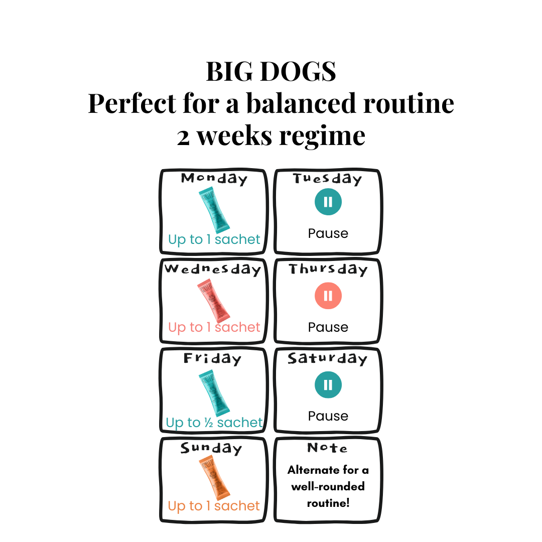 The Wellness Collection (7 Sticks Pouch)