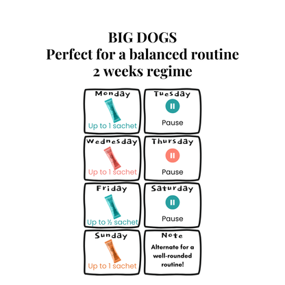 The Wellness Collection (7 Sticks Pouch)