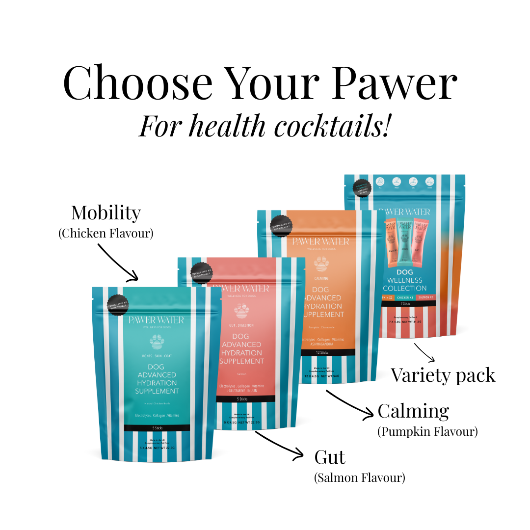 The Paw Treat Maker Kit for Dogs