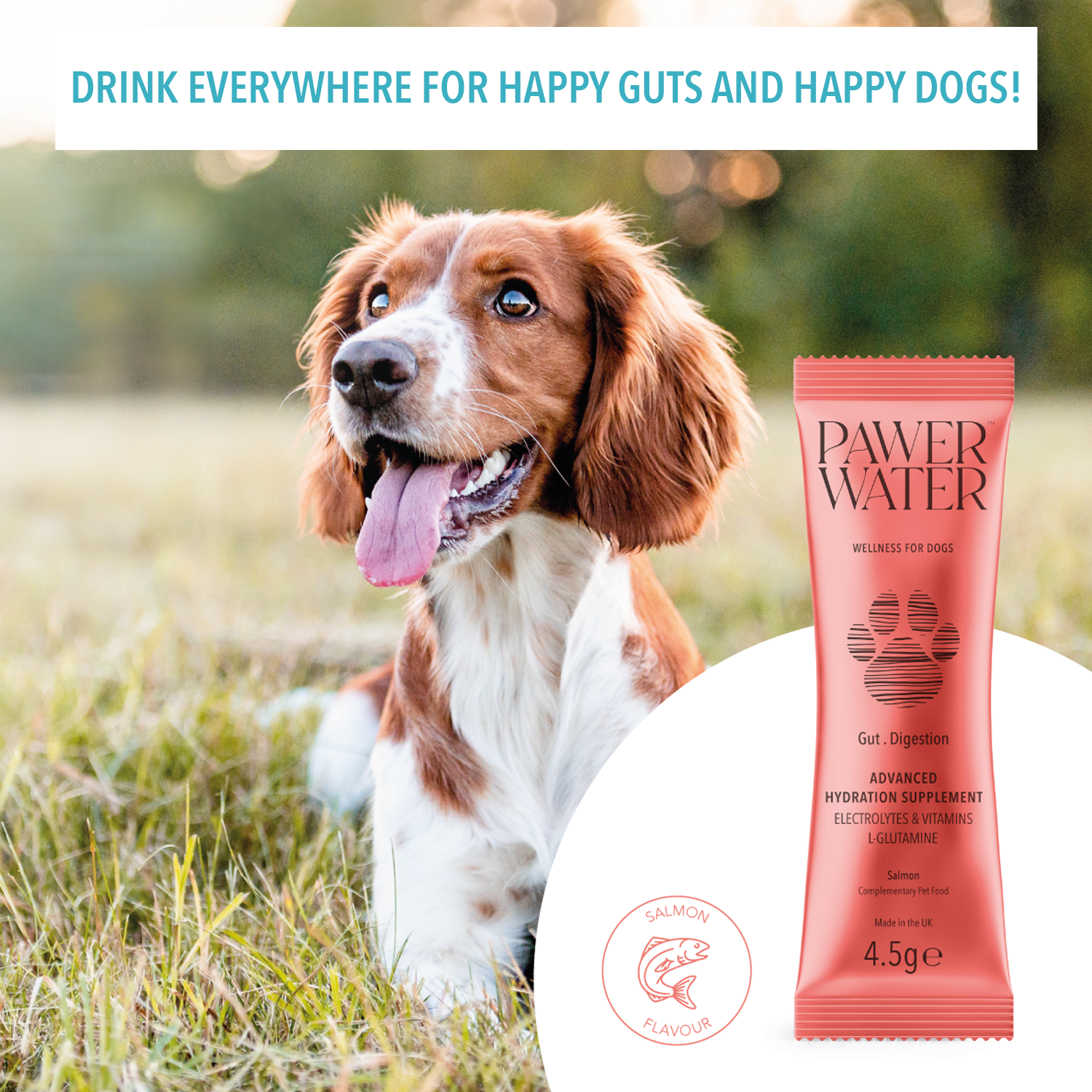 Pawer Water Gut Support (5-sticks Pouch) - Main Image