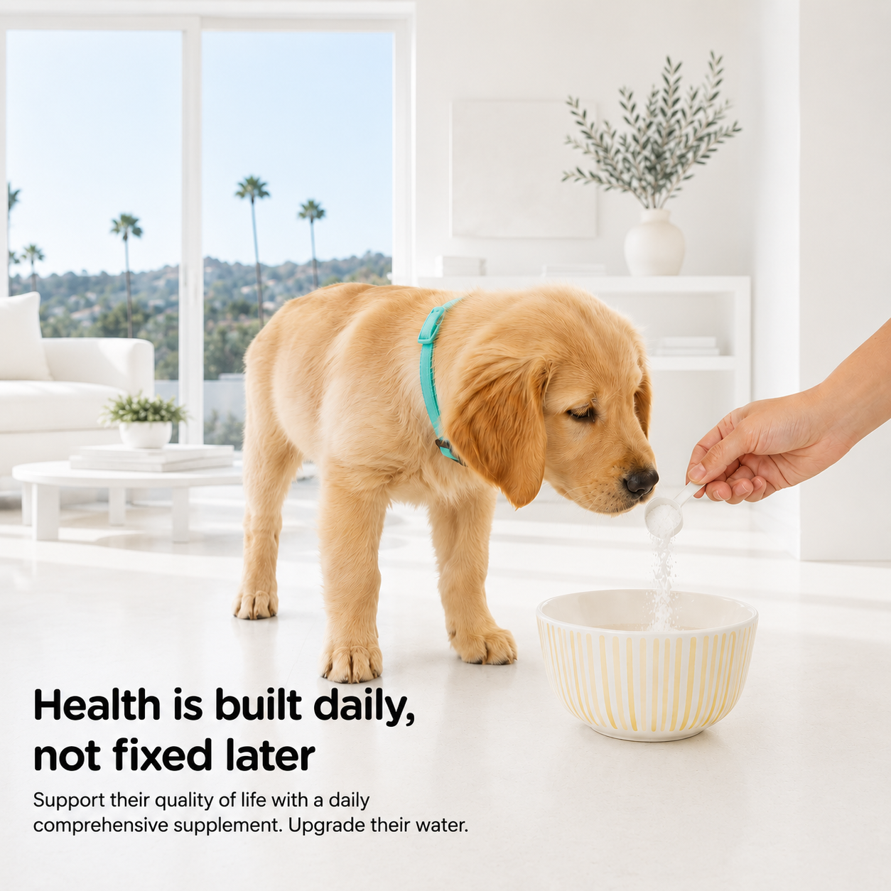 Puppy Advanced Milk Formula