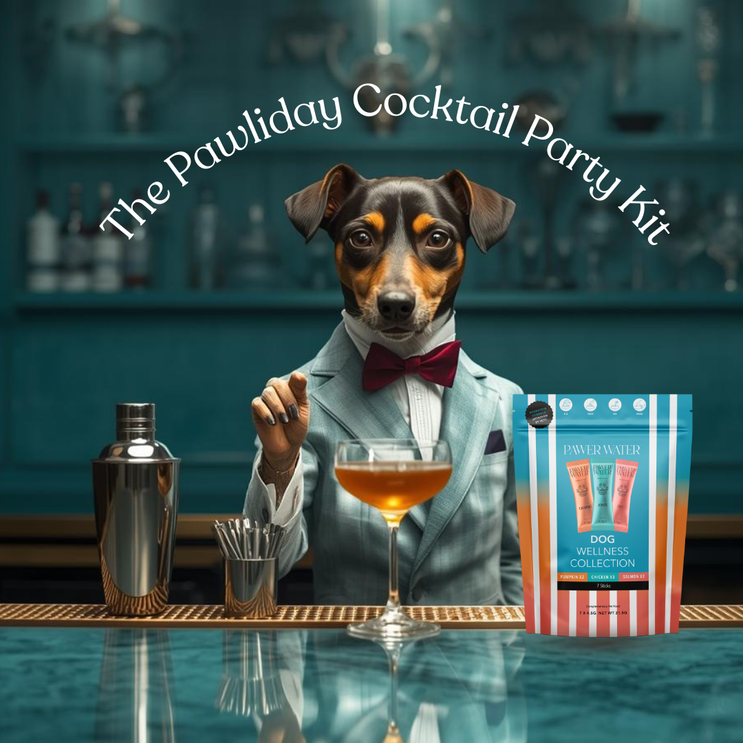 The Cocktail Party Kit For Dogs