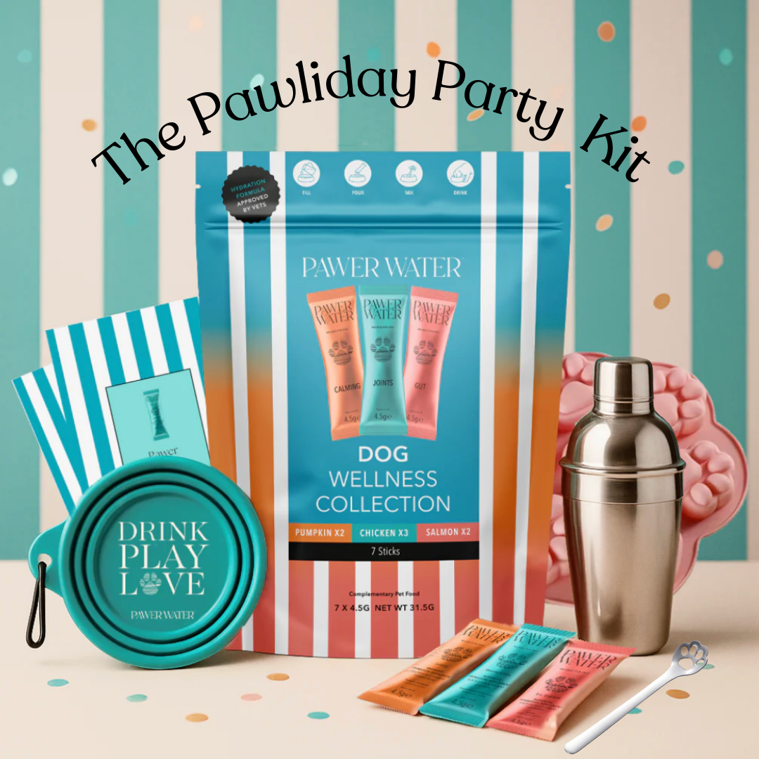 The Pawliday Party Kit For Dogs