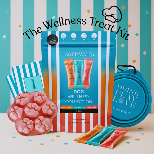 The Paw Treat Maker Kit for Dogs