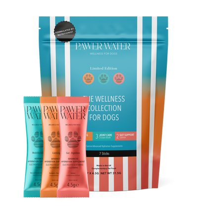 The Wellness Collection (7 Sticks Pouch)